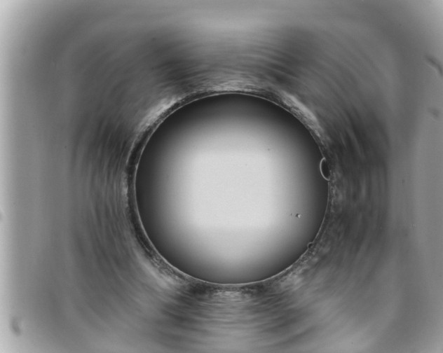 X0000097760298200803211720