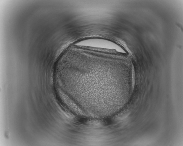 X0000097760299200803211720