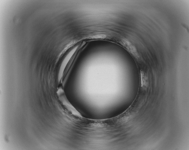 X0000097760300200803211720