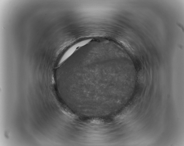 X0000097760303200803211720