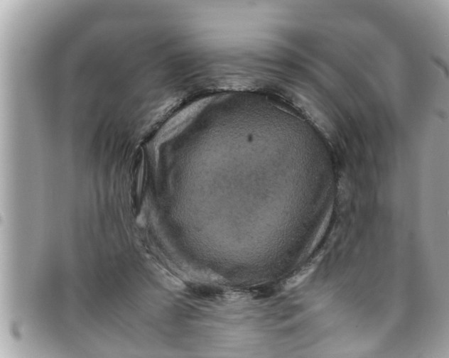 X0000097760305200803211720