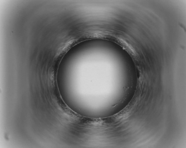 X0000097760306200803211720