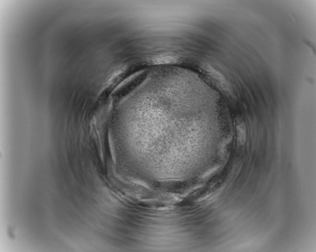 X0000097760308200803211720