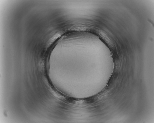 X0000097760309200803211720