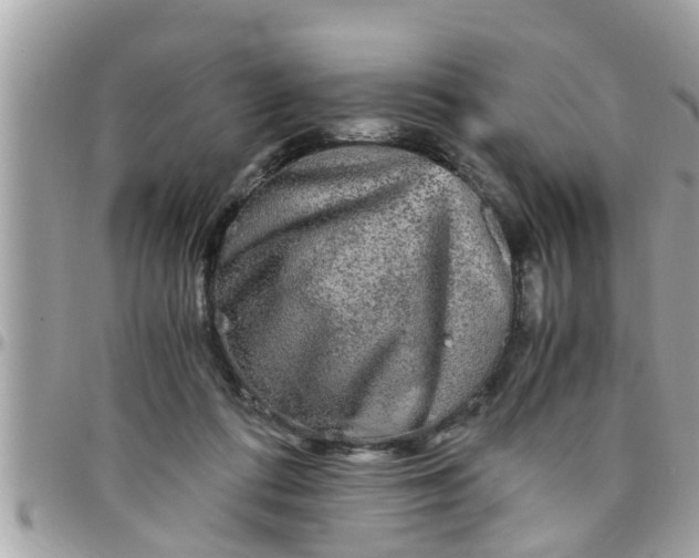 X0000097760312200803211720