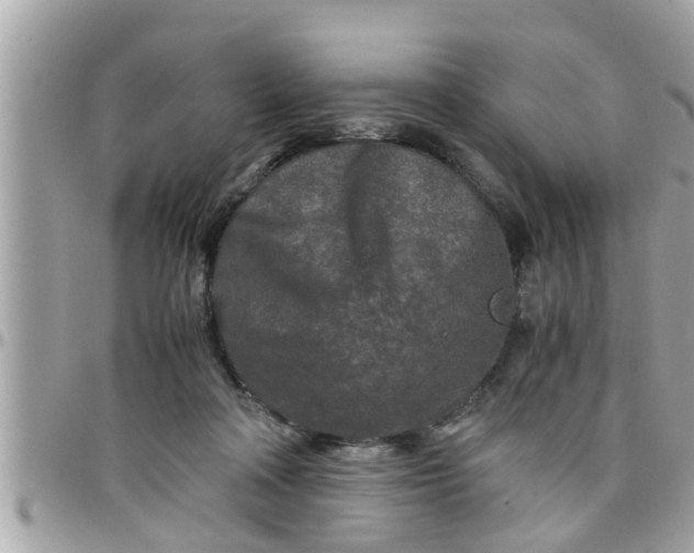 X0000097760314200803211720