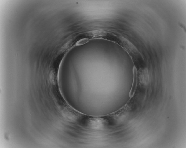 X0000097760316200803211720