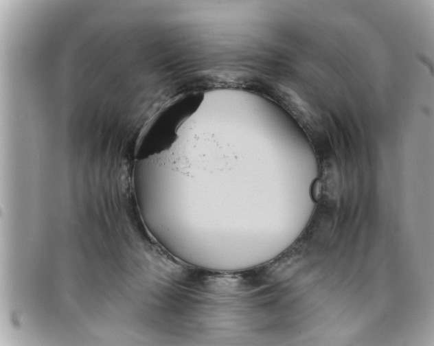 X0000097760318200803211720