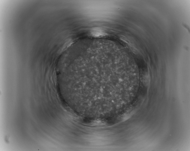 X0000097760319200803211720