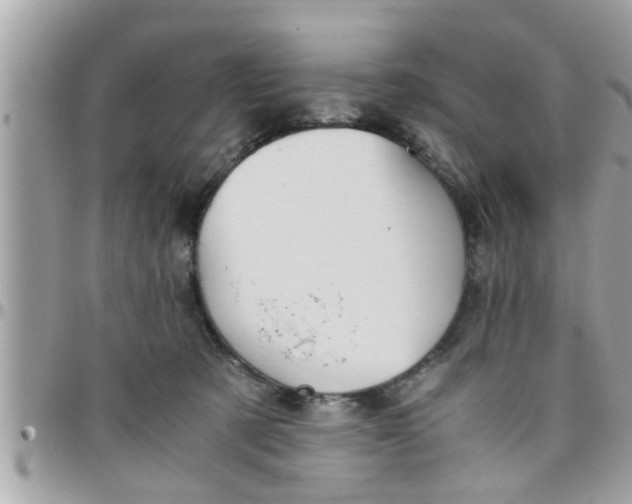 X0000097760321200803211720