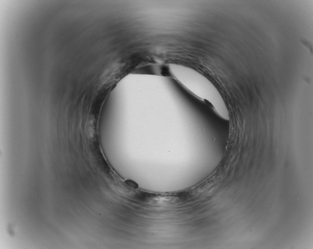 X0000097760323200803211720