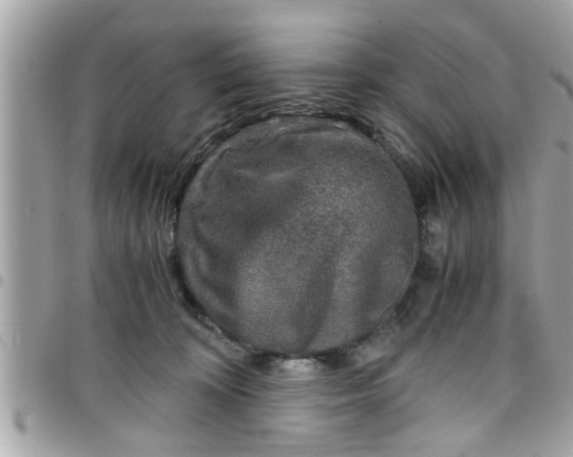 X0000097760324200803211720