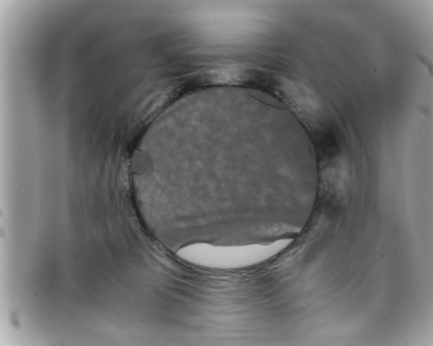 X0000097760325200803211720