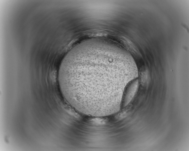 X0000097760326200803211720