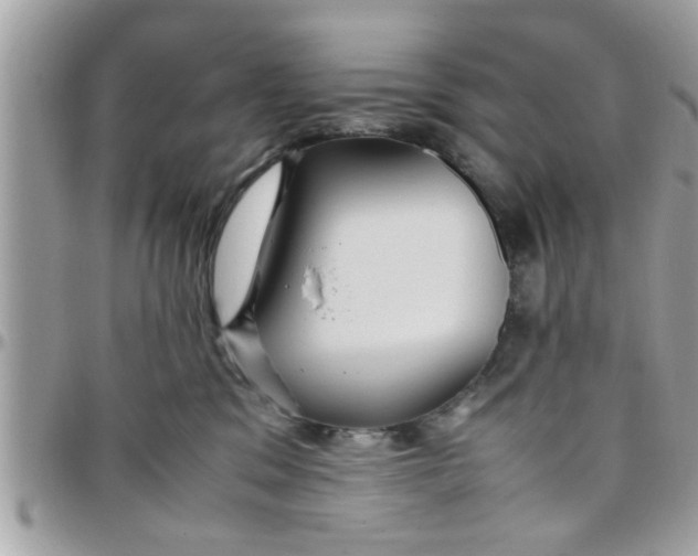 X0000097760329200803211720