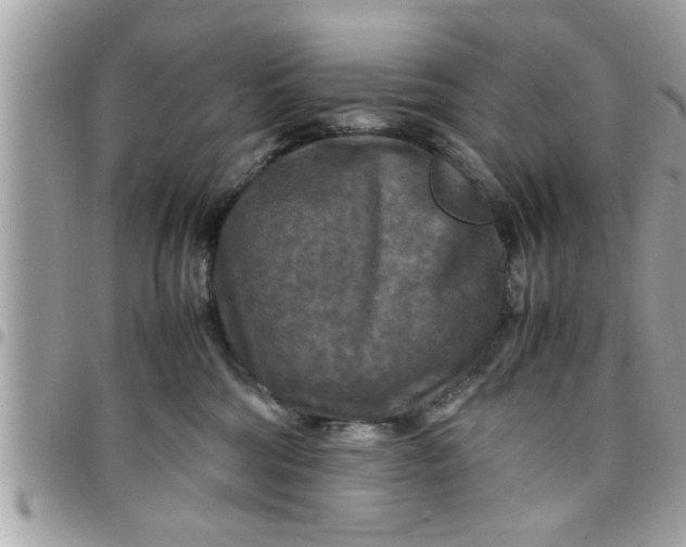 X0000097760330200803211720