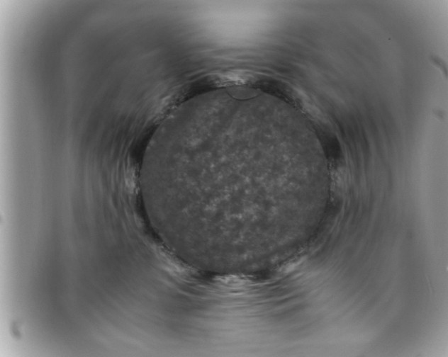 X0000097760331200803211720