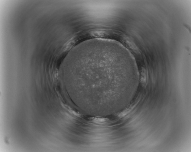 X0000097760332200803211720