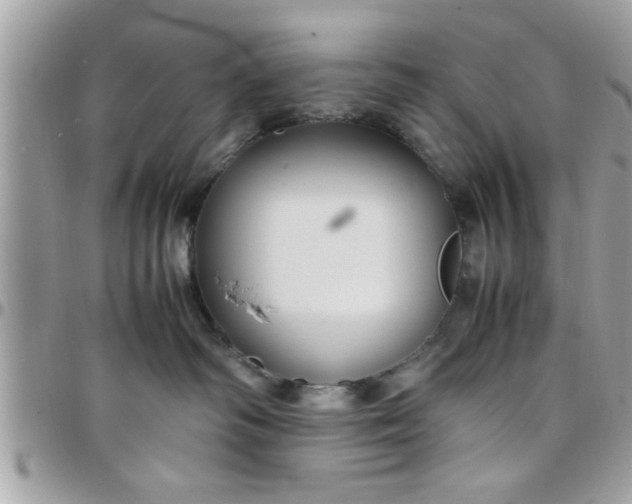 X0000097760334200803211720