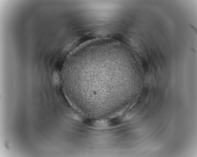 X0000097760335200803211719