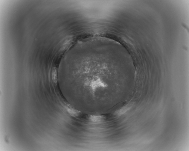 X0000097760336200803211719