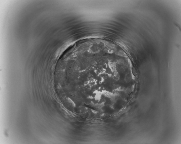 X0000097760337200803211719