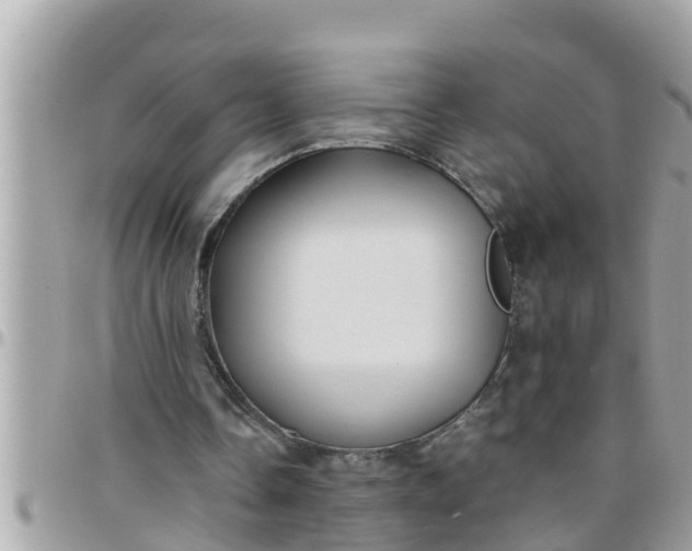 X0000097760338200803211719