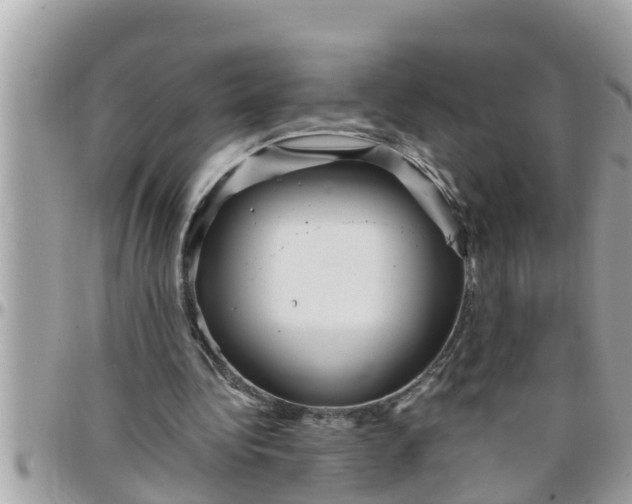 X0000097760340200803211719