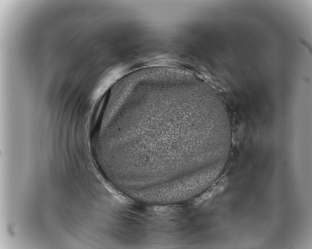 X0000097760341200803211719