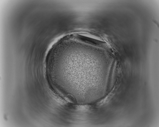 X0000097760342200803211719