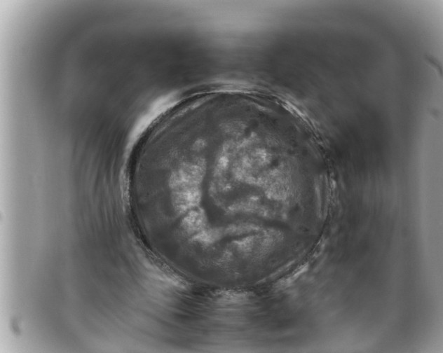 X0000097760343200803211719