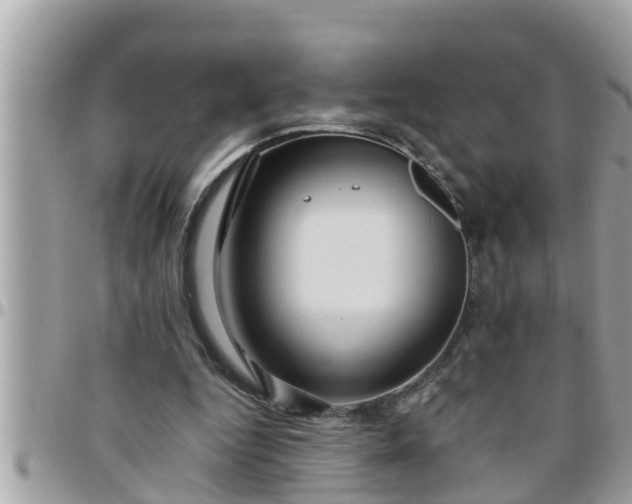 X0000097760344200803211719