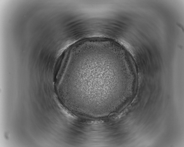 X0000097760345200803211719