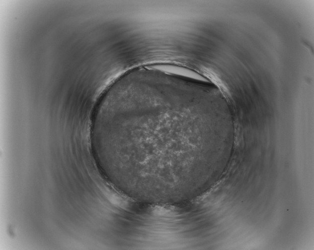 X0000097760346200803211719