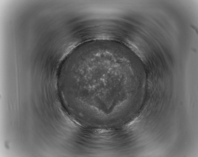 X0000097760347200803211719