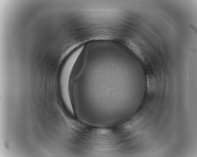 X0000097760348200803211719