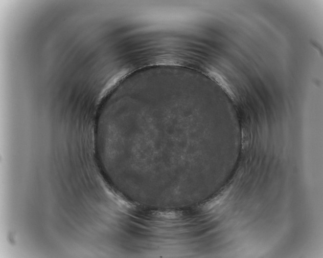 X0000097760349200803211719