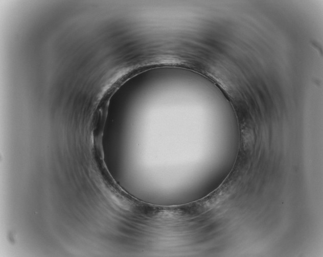 X0000097760350200803211719