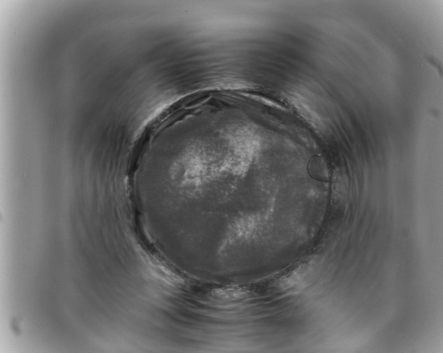 X0000097760351200803211719