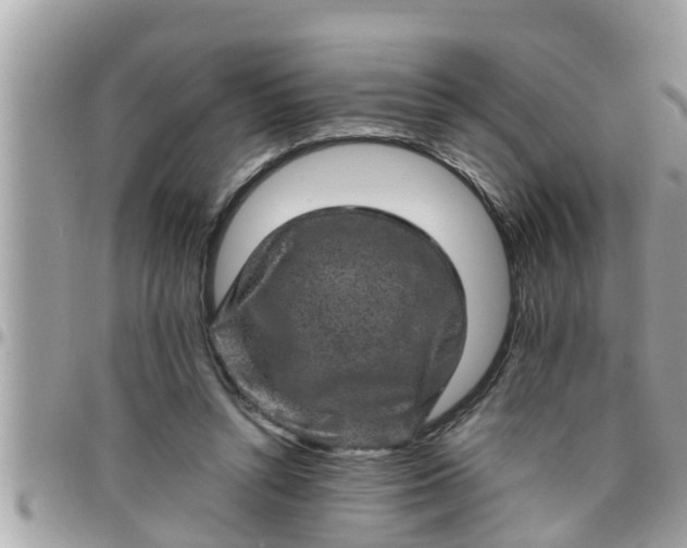 X0000097760352200803211719