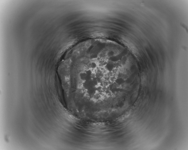 X0000097760353200803211719