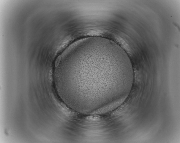 X0000097760354200803211719