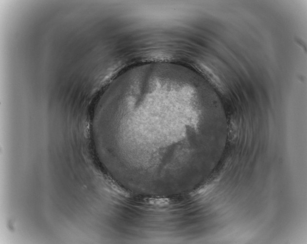 X0000097760355200803211719