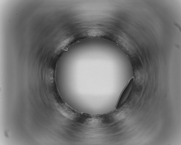 X0000097760356200803211719