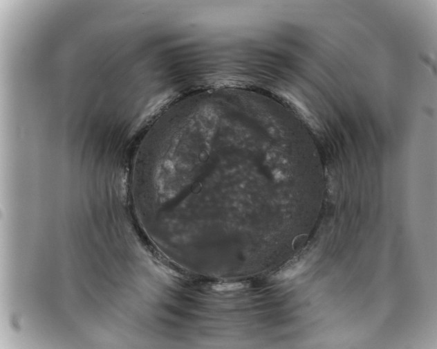 X0000097760357200803211719