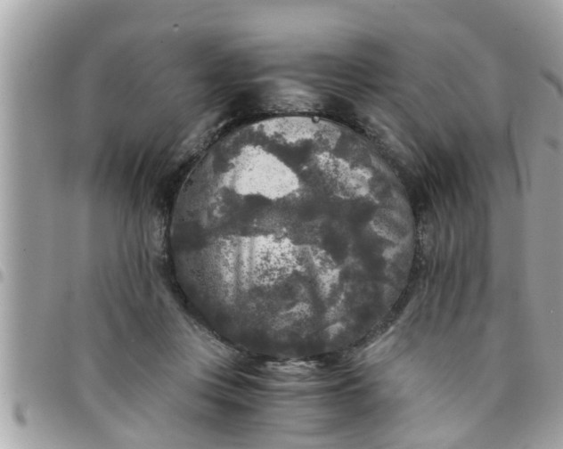 X0000097760359200803211719