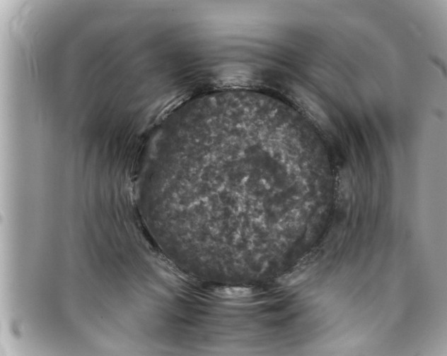 X0000097760361200803211719