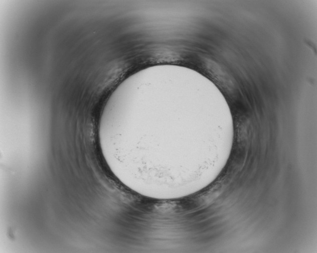 X0000097760362200803211719