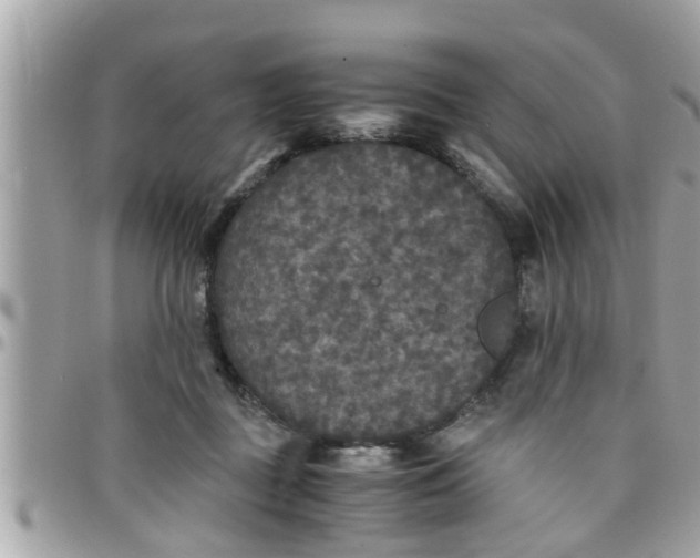 X0000097760363200803211719