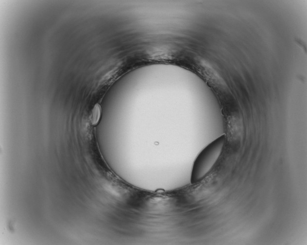 X0000097760364200803211719